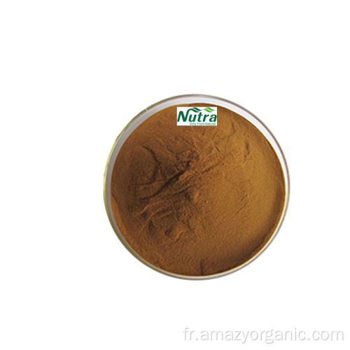 Extrait organique d&#39;agaricus tricholoma